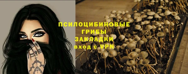 индика Алексин