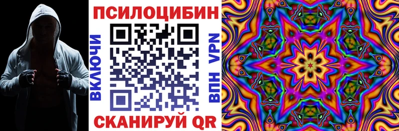 Псилоцибиновые грибы мицелий  Купить  Берёзовский 